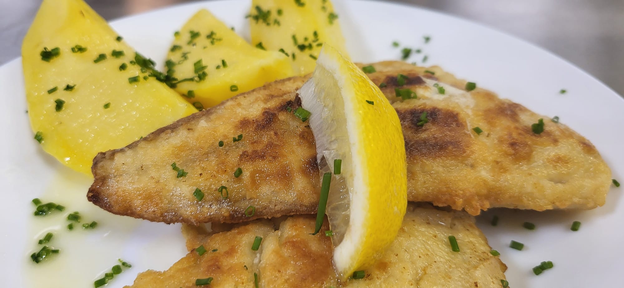 Fisch 2